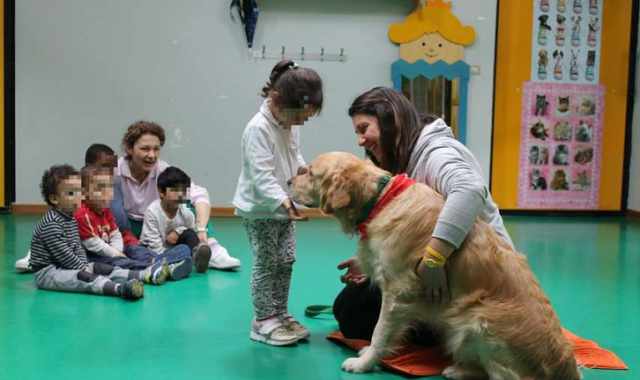 Si chiama Boris, ha 3 anni e va allasilo con gli altri bimbi: ma  un cane